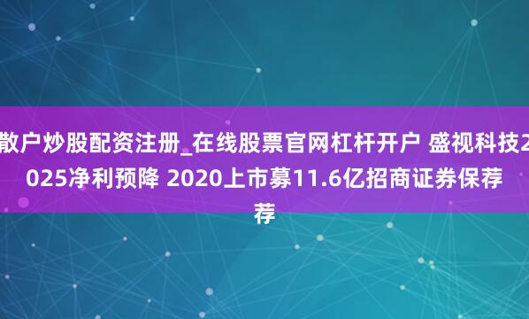 散户炒股配资注册_在线股票官网杠杆开户 盛视科技2025净利预降 2020上市募11.6亿招商证券保荐